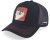 Kasket - Capslab Looney Tunes Taz (sort)