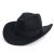 Hatte - Gårda Pocatello Crushable Wool felt Western hat (sort)