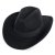 Hatte - Gårda Pocatello Crushable Wool felt Western hat (sort)